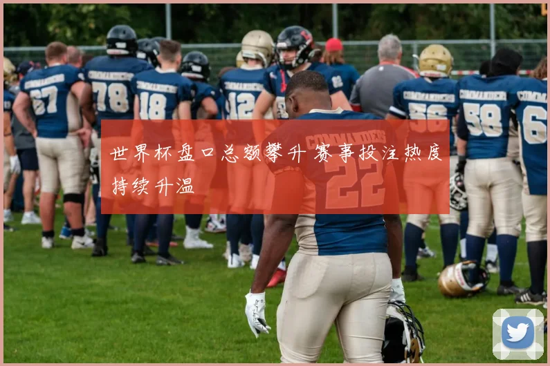 世界杯盘口总额攀升 赛事投注热度持续升温