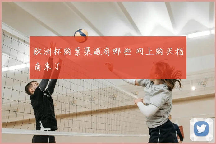 欧洲杯购票渠道有哪些 网上购买指南来了