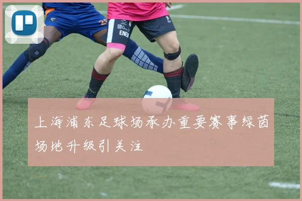 上海浦东足球场承办重要赛事绿茵场地升级引关注